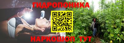 каннабис Дубна