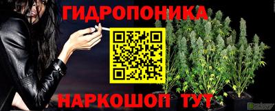 амф Донской