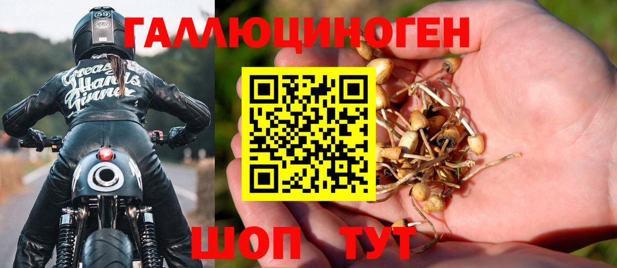 Псилоцибиновые грибы Psilocybe  Галлюциногенные грибы мицелий  Мичуринск  Вход с VPN 
